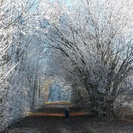 Kärnten Turnersee *