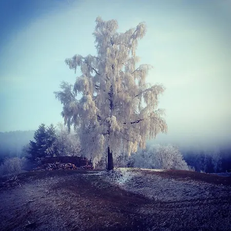 Kärnten Turnersee * St. Kanzian am Klopeiner See